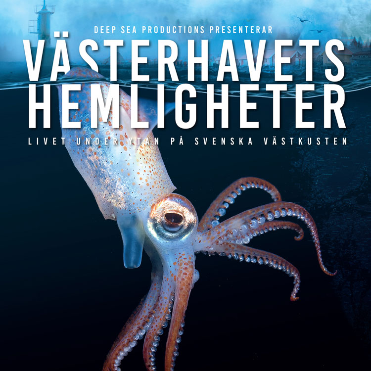 Västerhavets hemligheter